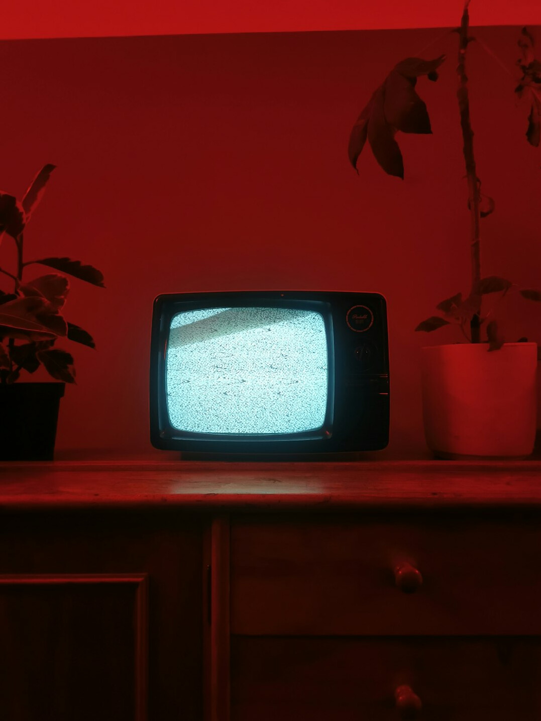 classic tv stars